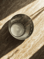 Stainless Steel Grand FLORA dustbin