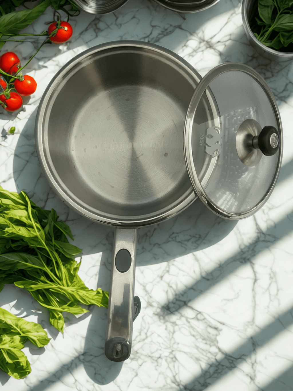Stainless Steel Alpha Sauce Pan