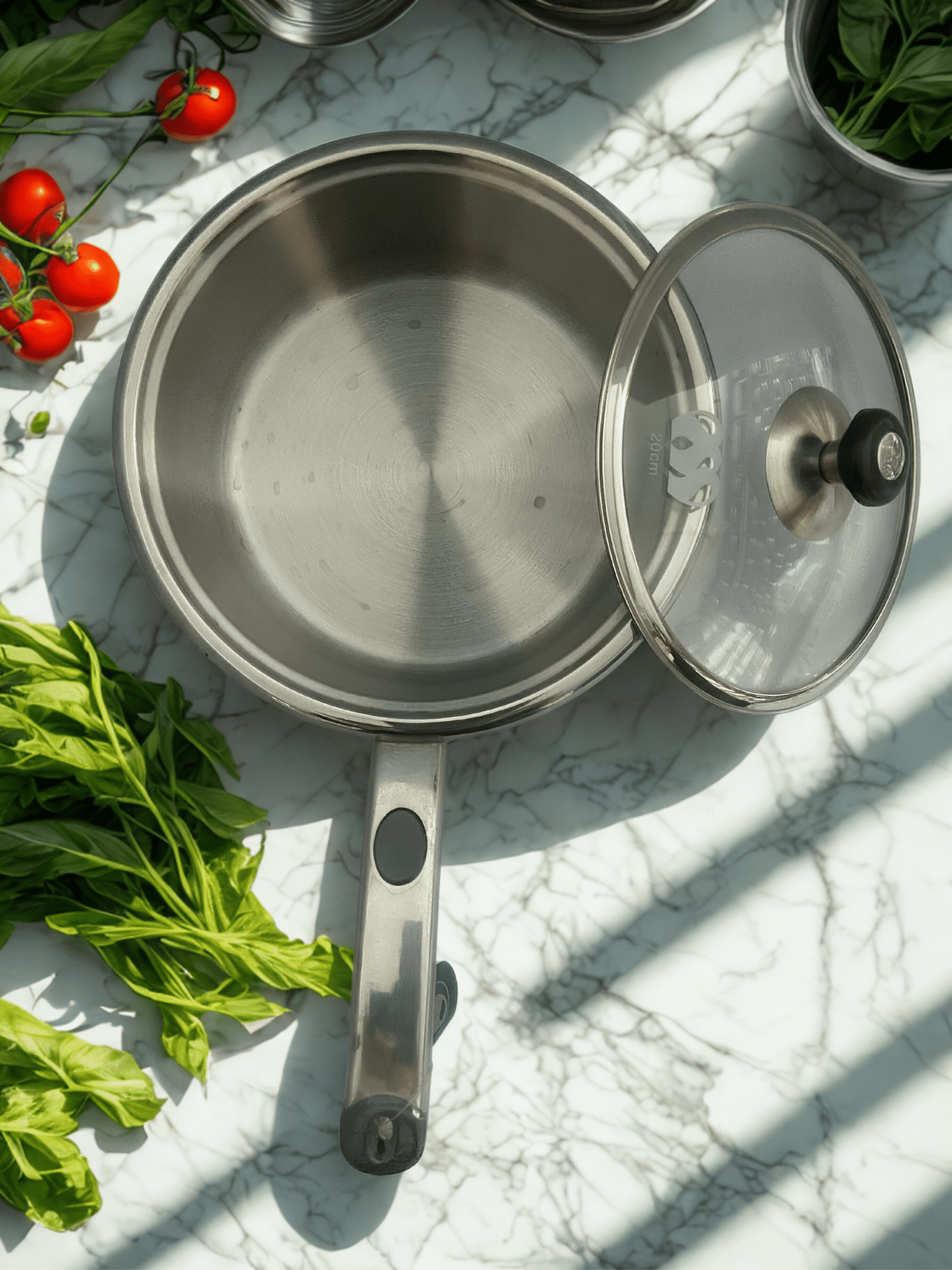 Stainless Steel Alpha Sauce Pan