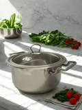 Alpha Stainless Cooking Pot